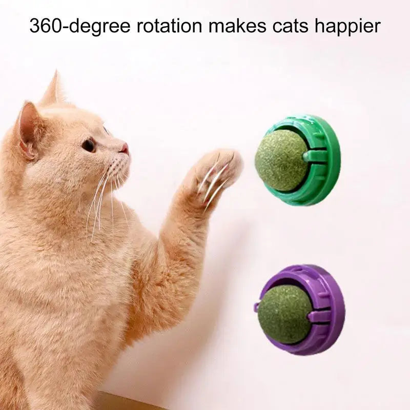 Katzenspielzeug Katzenminze-Wandball