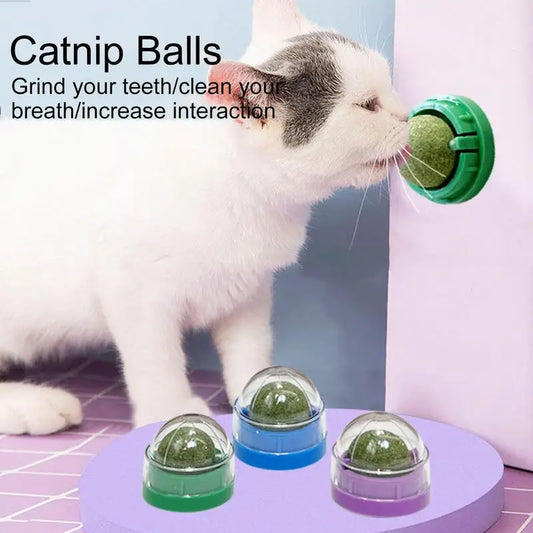 Katzenspielzeug Katzenminze-Wandball